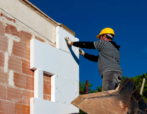 Best Geographic-Specific Insulation Services in Bel Nor, MO
