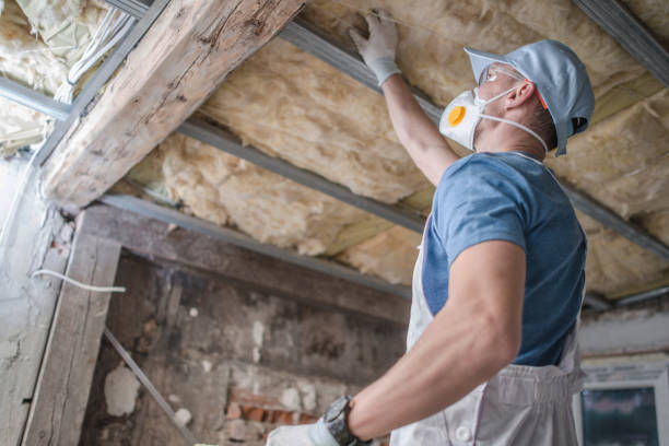 Trusted Bel Nor, MO Insulation Contractor Experts