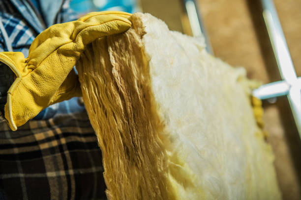 Best Cellulose Insulation in Bel Nor, MO
